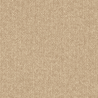 244