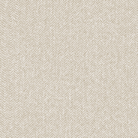 244