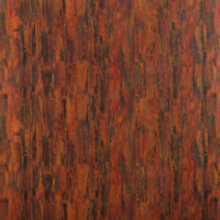 Bild 041
